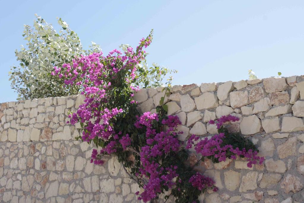 마라티 Crete View 빌라 객실 사진